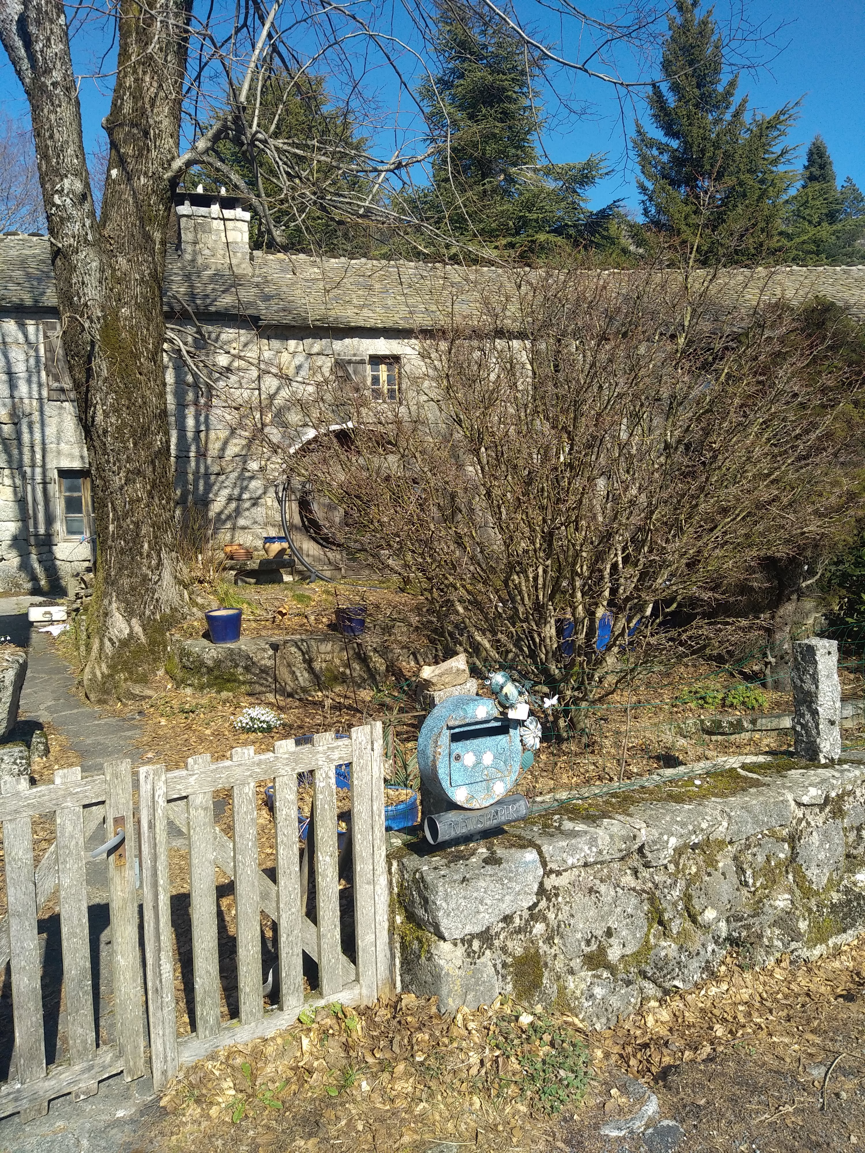 Photo n° 5 de l'avis de Julien.a fait le 05/03/2023 à 15:22