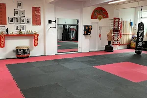 Fighting Lions Martial Arts & Fitness Centre image
