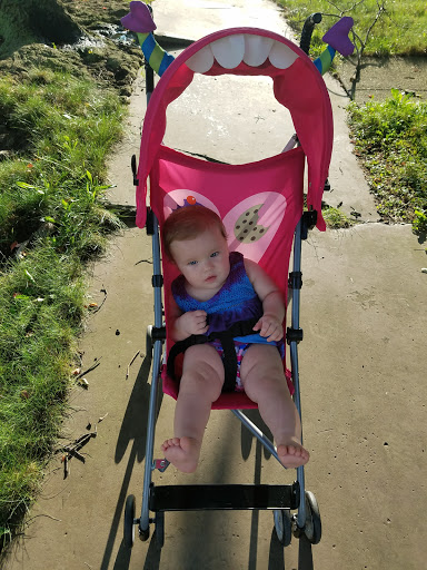 Park «Loew Park», reviews and photos, 4741 W 32nd St, Cleveland, OH 44109, USA