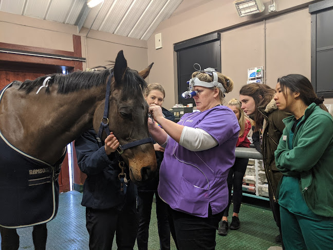 Reviews of Langford Vets Equine in Bristol - Veterinarian