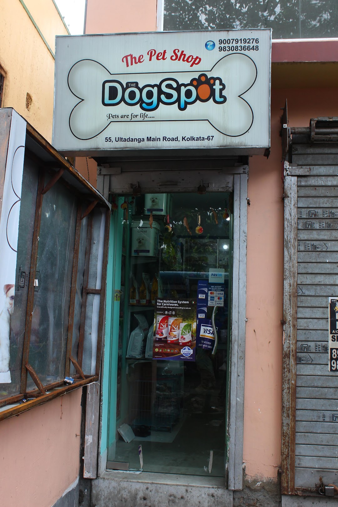 The DogSpot || Best Pet shop in Kolkata