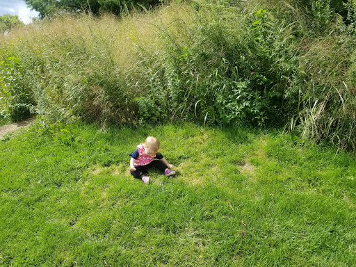 Park «Danehy Park», reviews and photos, 99 Sherman St, Cambridge, MA 02138, USA