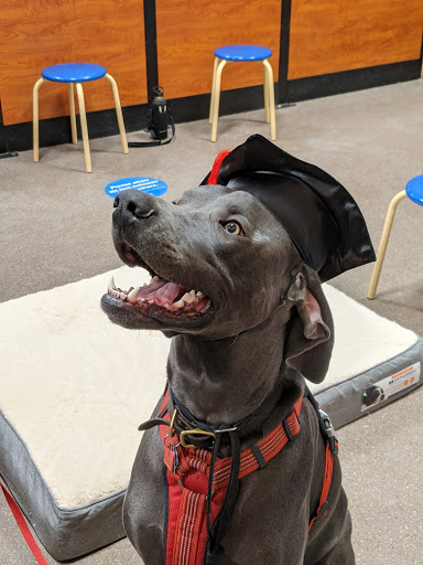 Pet Supply Store «PetSmart», reviews and photos, 5001 Sergeant Rd, Sioux City, IA 51106, USA