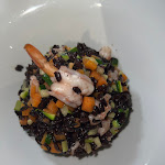 Photo n°1 de l'avis de Tina. fait le 26/04/2024 à 18:40 sur le  Paradiso Del Coregone à Peschiera del Garda