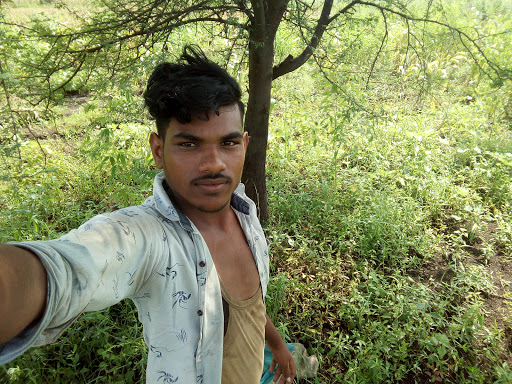 Wallpaper Store «Webster Wallpaper Paint & Blinds», reviews and photos, 2737 Webster Ave, Bronx, NY 10458, USA