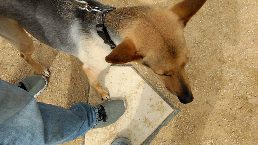 Tourist Attraction «Field of Dreams Movie Site», reviews and photos, 28995 Lansing Rd, Dyersville, IA 52040, USA