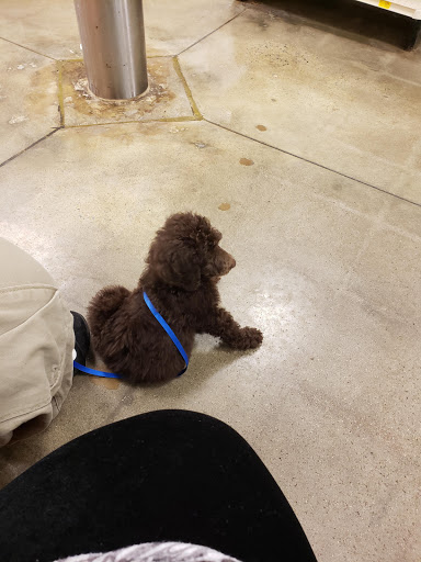 Pet Supply Store «PetSmart», reviews and photos, 2150 Paxton Ln SW, Lilburn, GA 30047, USA