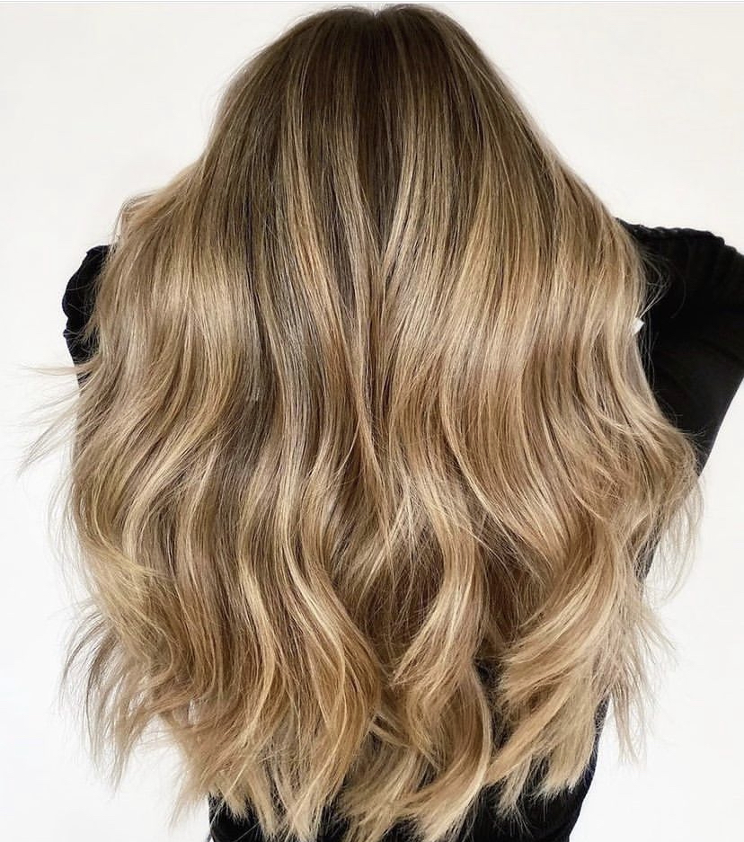Numi & Company Hair salon 10583