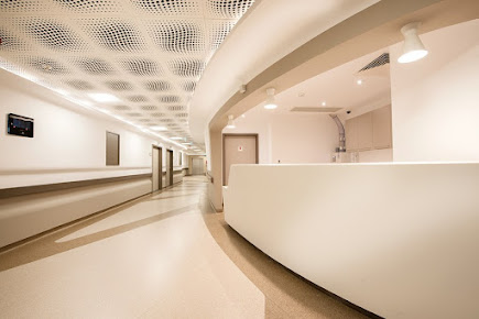 İstanbul Obesity Academy - İstanbul Obesity Academy