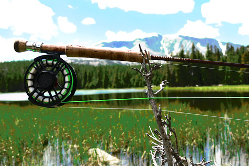 National Forest «Bighorn National Forest», reviews and photos