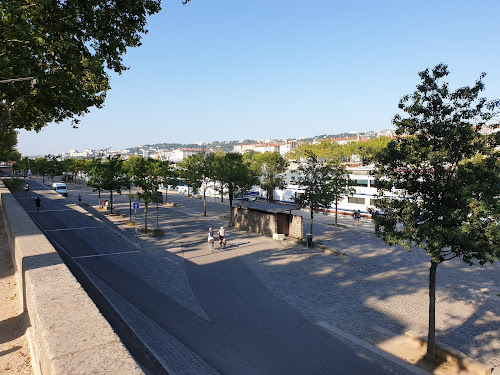 Pont de l'Université de Lyon à Lyon