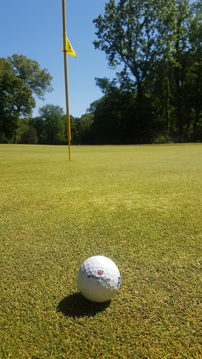 Golf Course «Indian Lake Hills Golf Course», reviews and photos, 55321 Brush Lake Rd, Eau Claire, MI 49111, USA