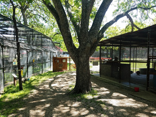 Wildlife Rescue Service «In-Sync Exotics», reviews and photos, 3430 Skyview Dr, Wylie, TX 75098, USA