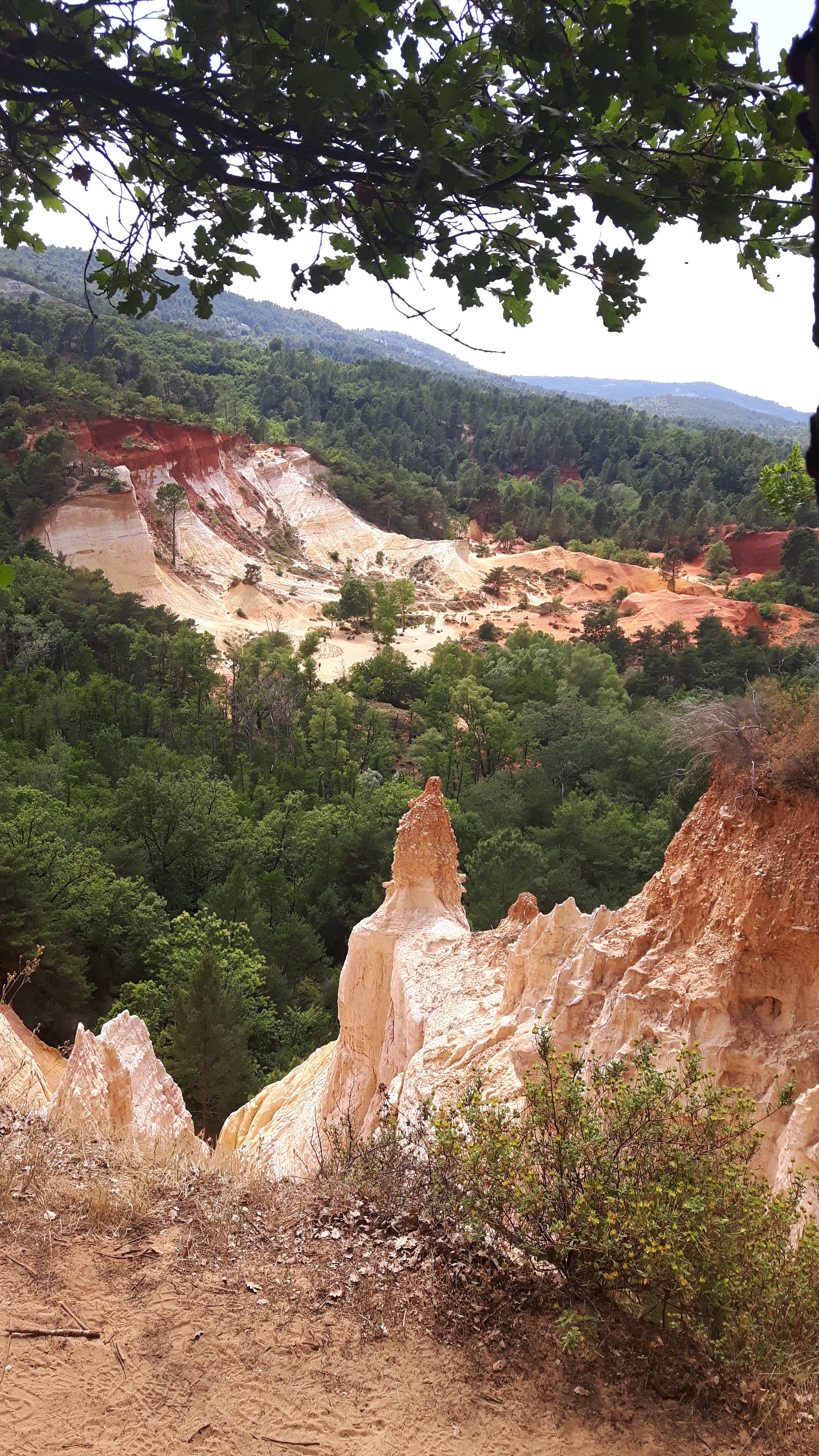 Photo n° 2 de l'avis de Marie-Hélène. fait le 18/06/2019 à 17:28