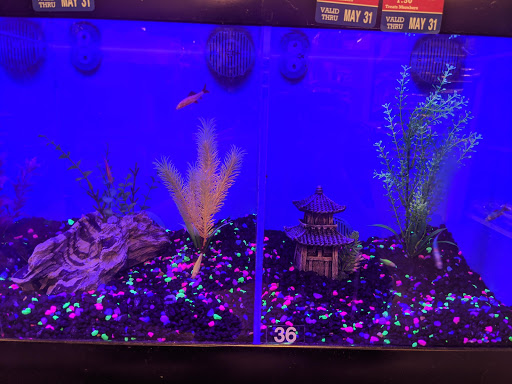 Pet Supply Store «PetSmart», reviews and photos, 104 Dettro Dr, Mattoon, IL 61938, USA