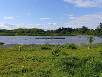 Jackson Bottom Wetlands Preserve