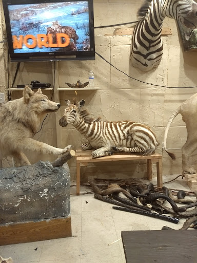 Museum «Living Torah Museum», reviews and photos, 1603 41st St, Brooklyn, NY 11218, USA