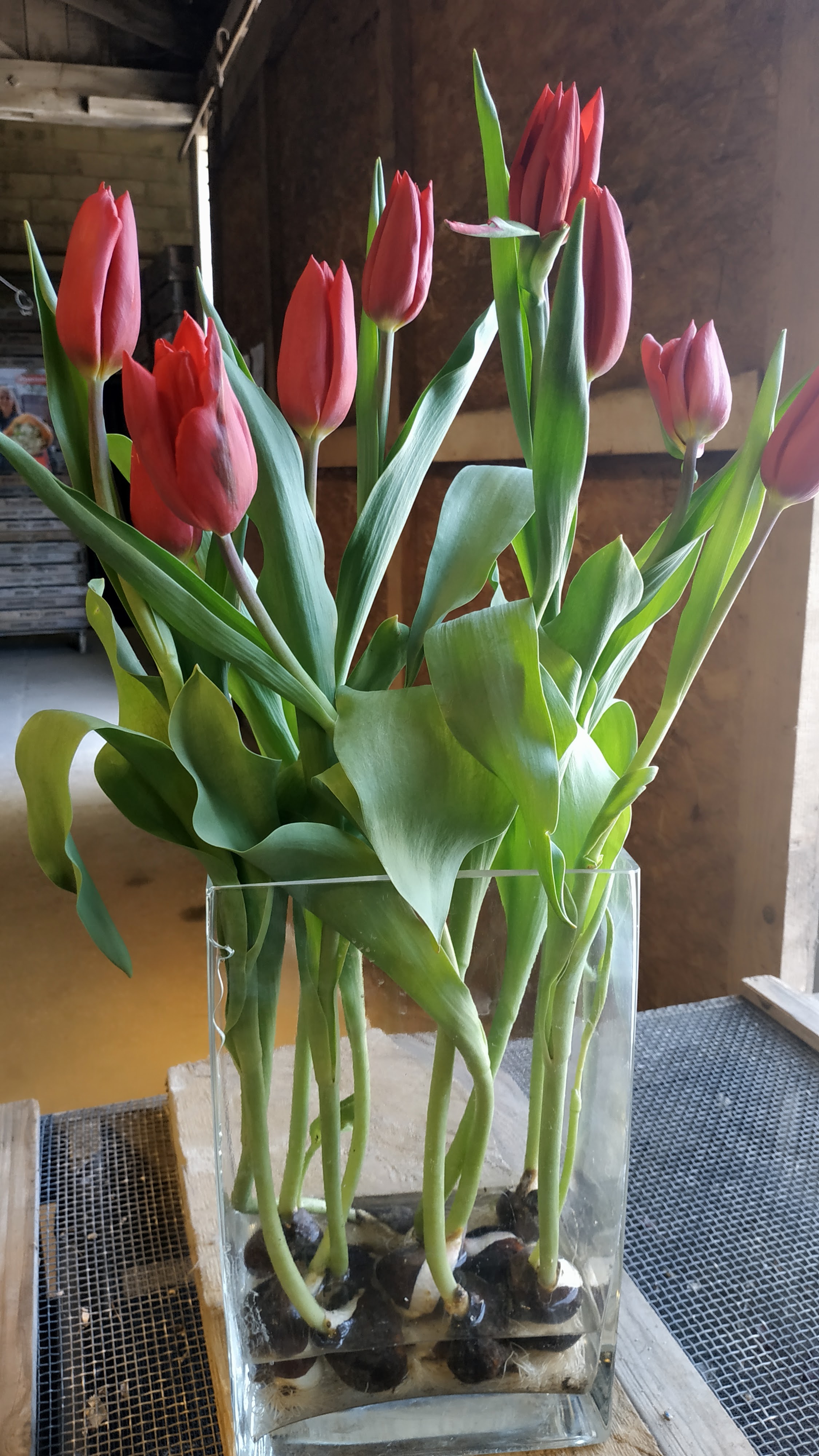 Photo n° 38 de l'avis de The.a fait le 05/04/2023 à 21:57