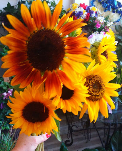 Florist «A Daisy A Day», reviews and photos, 749 Silas Creek Pkwy, Winston-Salem, NC 27127, USA