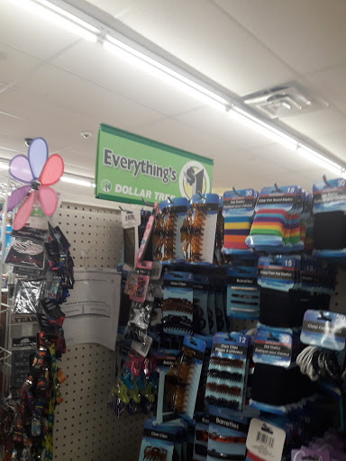 Dollar Store «Dollar Tree», reviews and photos, 3909 Queens Blvd, Sunnyside, NY 11104, USA