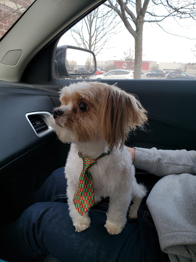 Pet Supply Store «Petco Animal Supplies», reviews and photos, 103 Commerce Way a, Woburn, MA 01801, USA