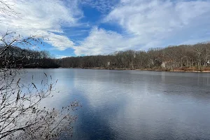 Mono Pond State Park Reserve image