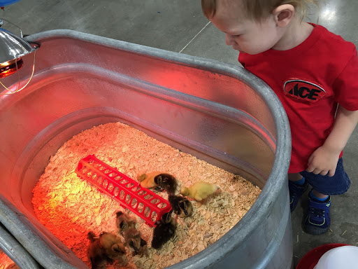 Hardware Store «Ace Hardware Garden St», reviews and photos, 3160 Garden St, Titusville, FL 32796, USA