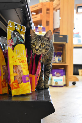 Pet Supply Store «Thomaston Feed of Cheshire», reviews and photos, 851 S Main St, Cheshire, CT 06410, USA