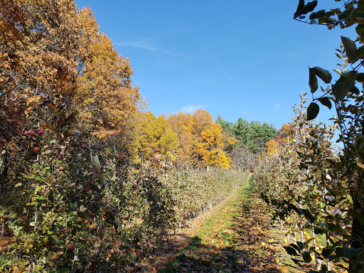 National Reserve «Assabet River National Wildlife Refuge», reviews and photos, 680 Hudson Road, Sudbury, MA 01776, USA