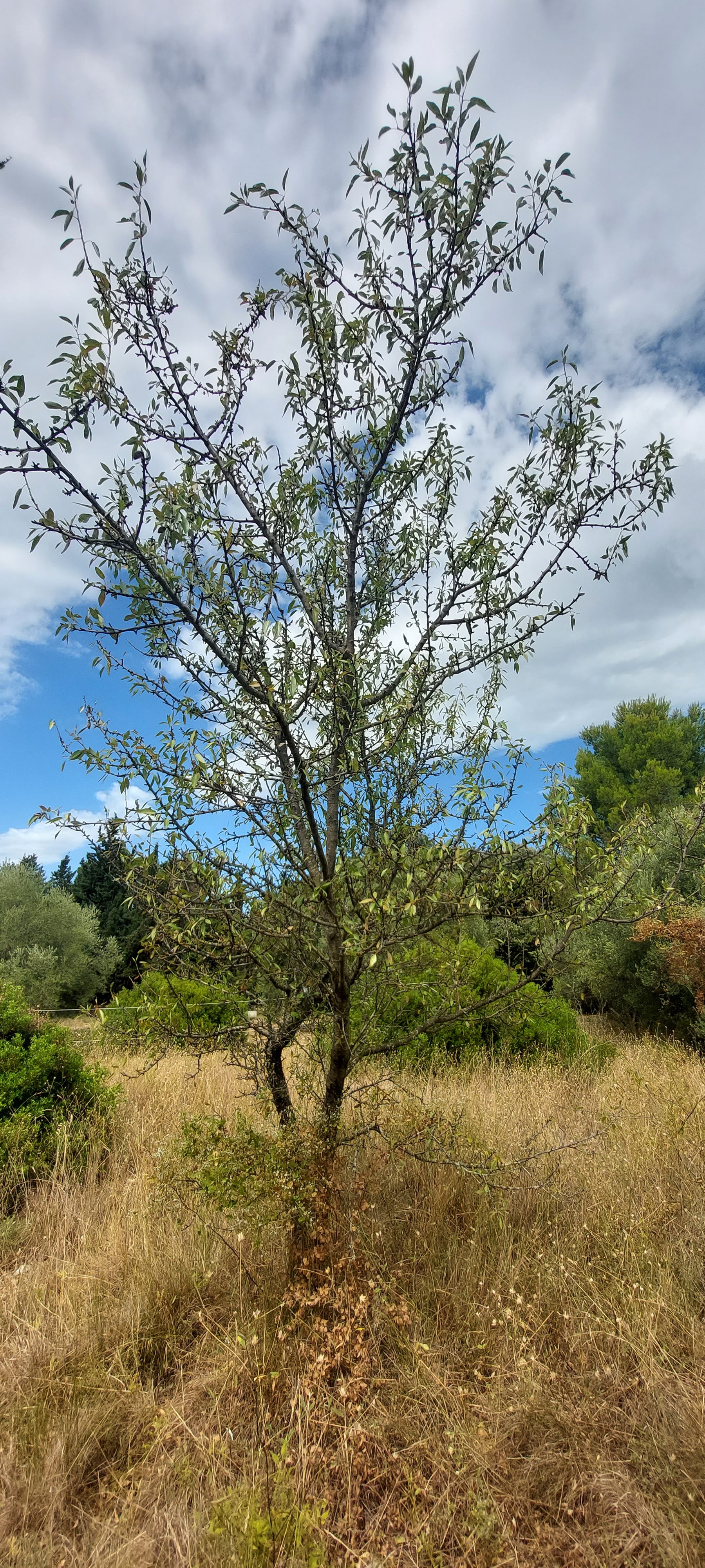 Photo n° 5 de l'avis de Angélique.a fait le 03/08/2023 à 16:27