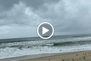 Surathkal beach image