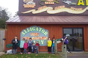 Alligator Alley Adventures image