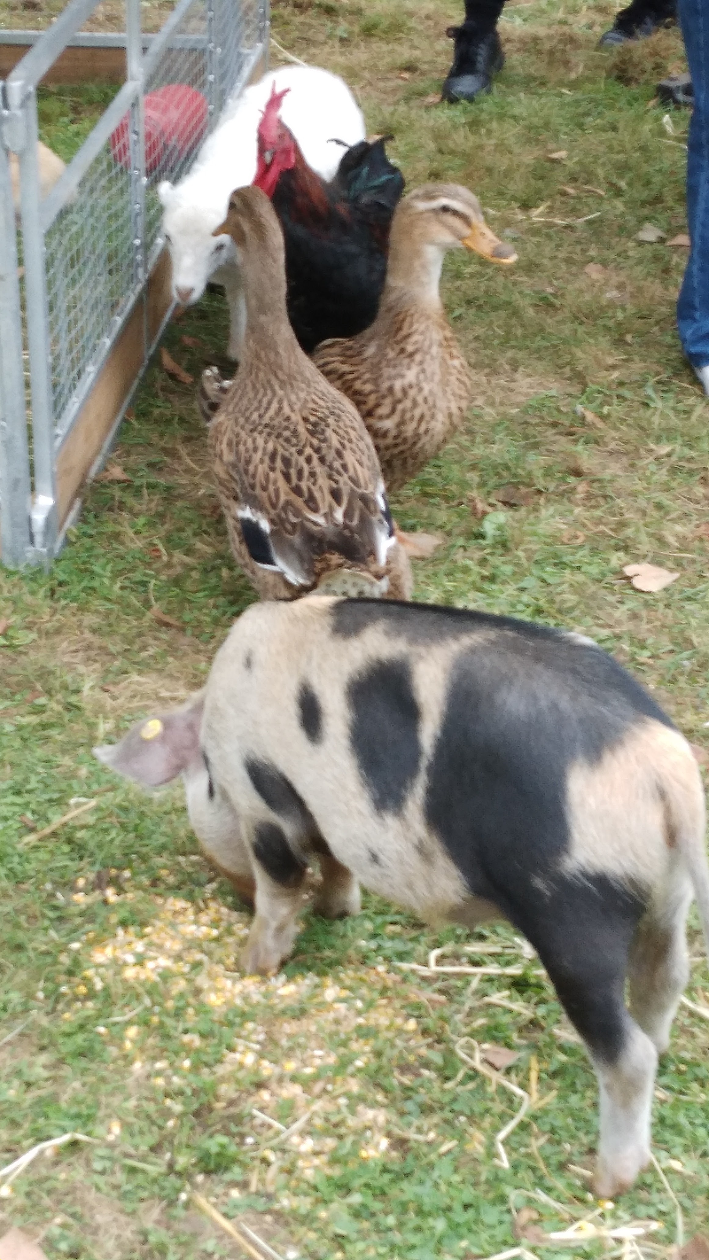 Photo n° 2 de l'avis de Christine.a fait le 23/09/2023 à 15:43