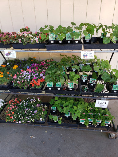 Hardware Store «Capitol Ace Hardware», reviews and photos, 1815 I St, Sacramento, CA 95811, USA