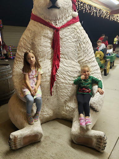 Vineyard «Lu Mil Vineyard», reviews and photos, 438 Suggs-Taylor Rd, Elizabethtown, NC 28337, USA