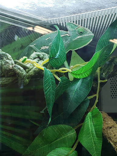 Pet Supply Store «PetSmart», reviews and photos, 2500 Posner Blvd, Davenport, FL 33837, USA