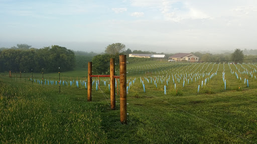 Winery «Fence Stile Vineyards & Winery», reviews and photos, 31010 W 124th St, Excelsior Springs, MO 64024, USA