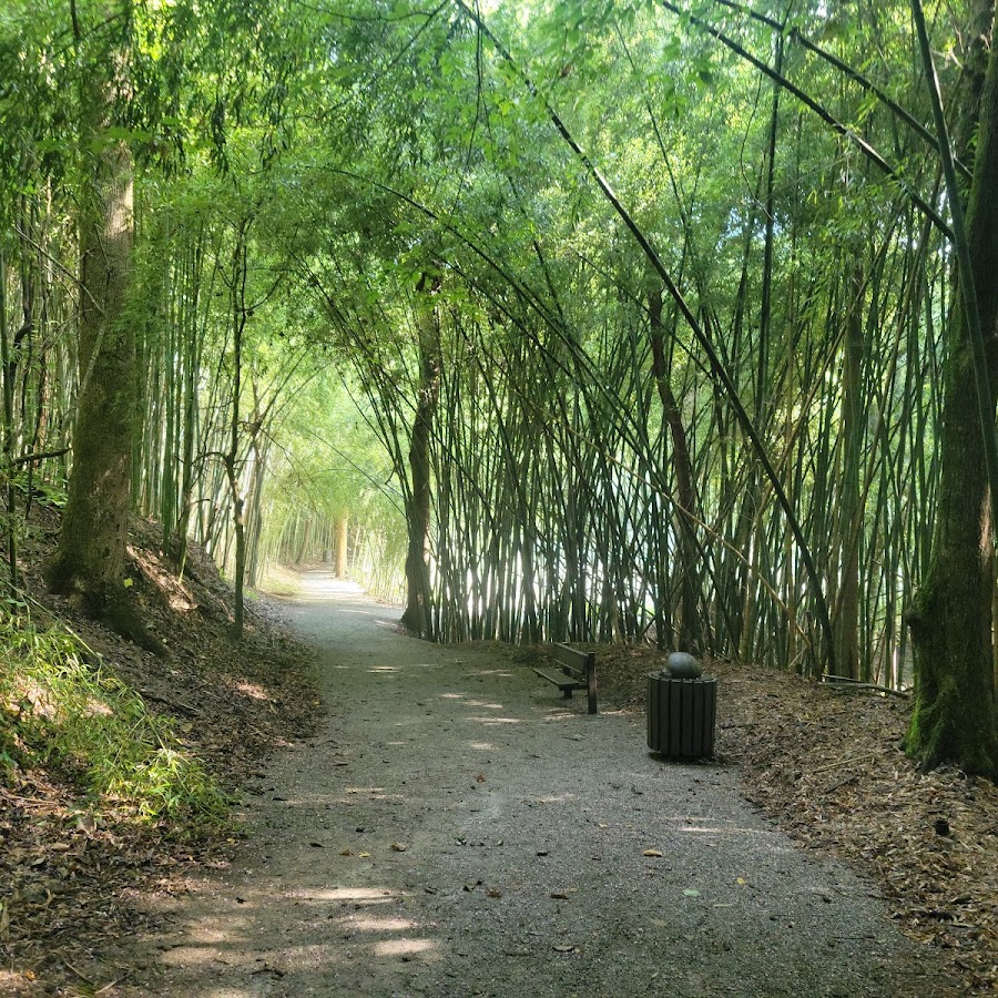 Wilderness Park/Bamboo Forest