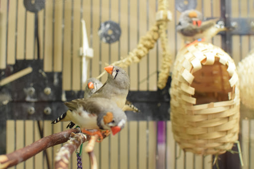 Pet Supply Store «PetSmart», reviews and photos, 889 NE 25th Ave, Hillsboro, OR 97124, USA