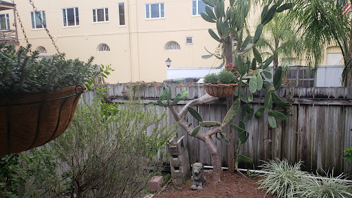 Museum «Spanish Military Hospital Museum», reviews and photos, 3 Aviles St, St Augustine, FL 32084, USA