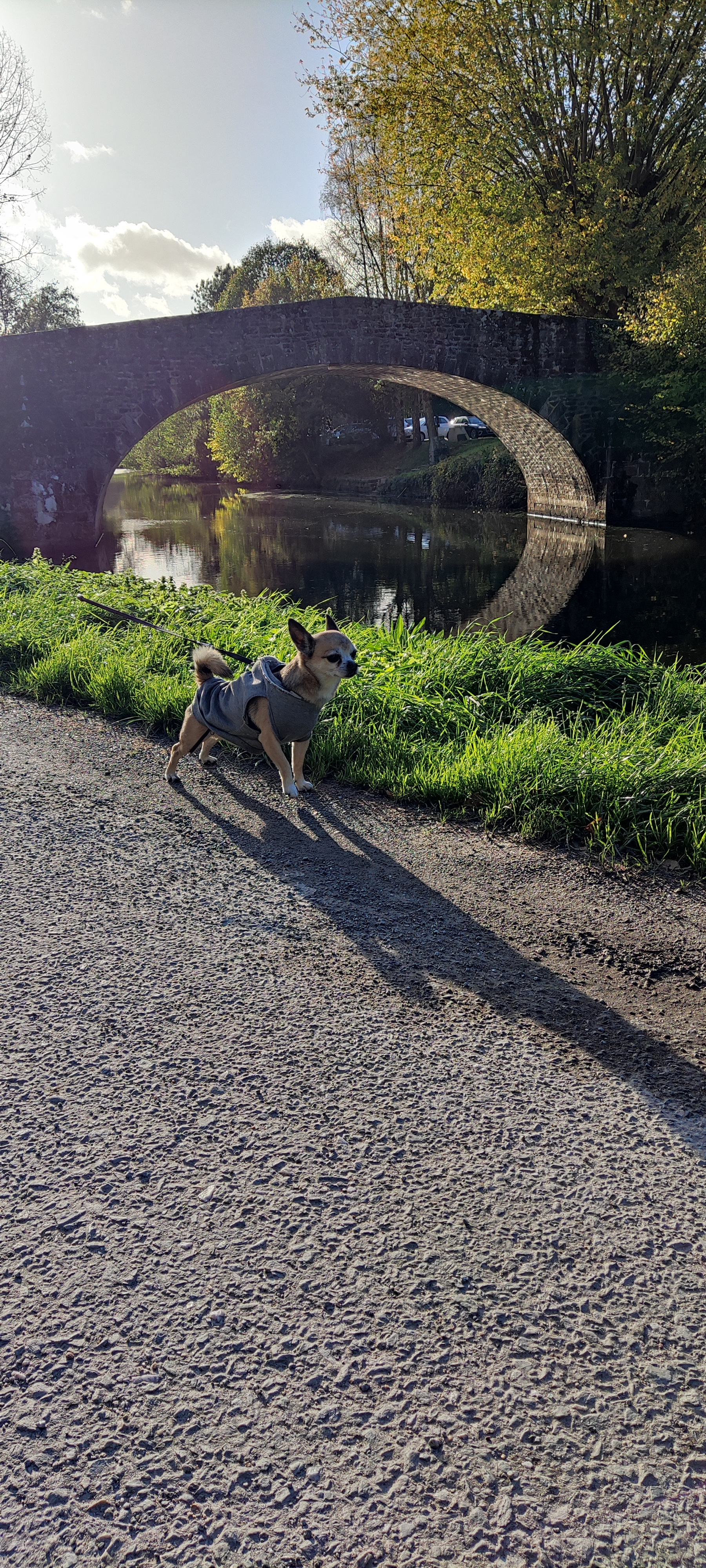 Photo n° 1 de l'avis de thierry. fait le 09/11/2022 à 17:08