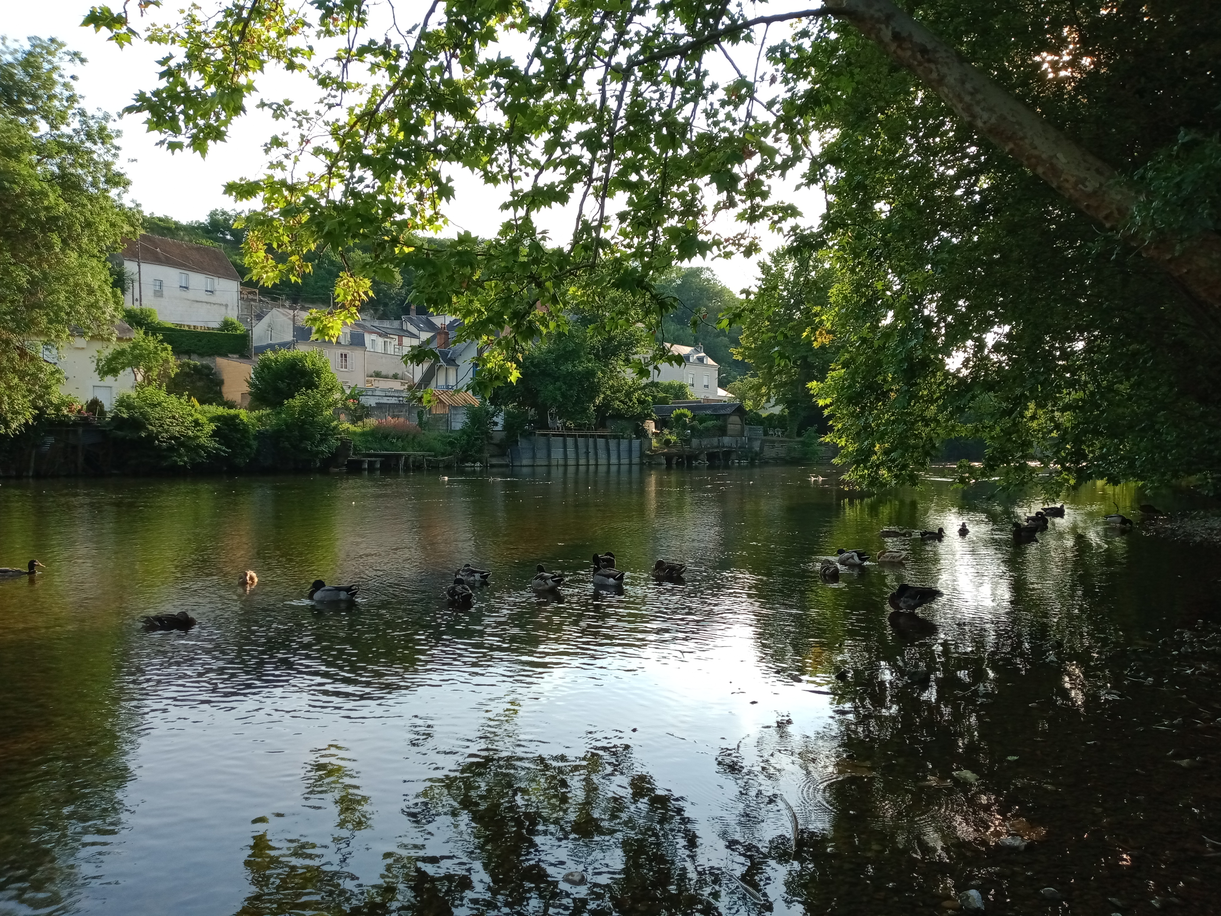 Photo n° 1 de l'avis de Marie.a fait le 15/06/2023 à 21:57