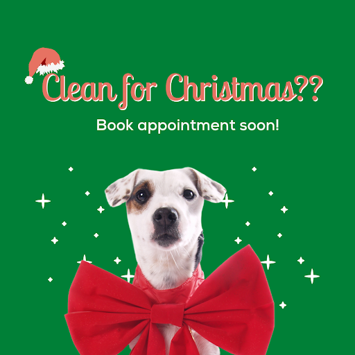 Pet Supply Store «Grrs & Purrs», reviews and photos, 116 N Woodland Blvd, DeLand, FL 32720, USA