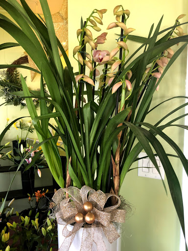 Florist «Grohe Florists», reviews and photos, 1313 McDonald Ave, Santa Rosa, CA 95404, USA