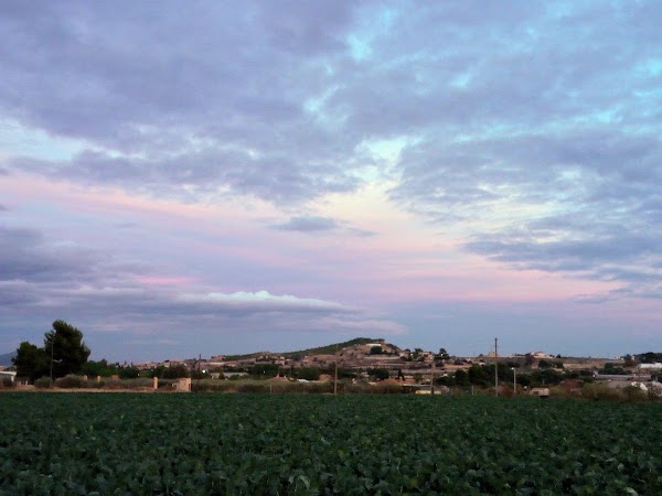 Casas Primavera