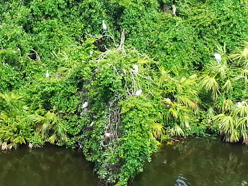 Amusement Park «Gatorland», reviews and photos, 14501 S Orange Blossom Trail, Orlando, FL 32837, USA