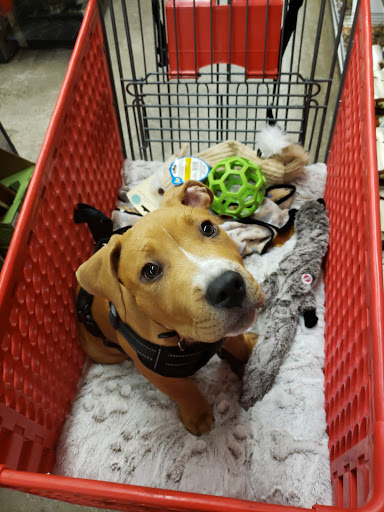 Department Store «Coastal Farm & Ranch», reviews and photos, 2200 W 6th Ave, Eugene, OR 97402, USA