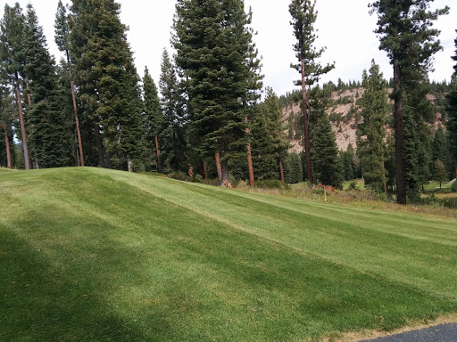 Public Golf Course «Coyote Moon Golf Course», reviews and photos, 10685 Northwoods Blvd, Truckee, CA 96161, USA