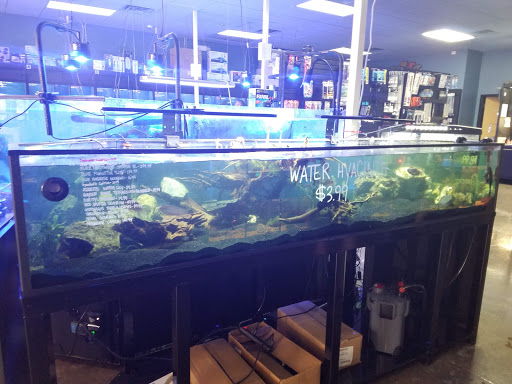 Tropical Fish Store «Pisces Reef Fish Emporium, LLC», reviews and photos, 9326 W Sahara Ave, Las Vegas, NV 89117, USA