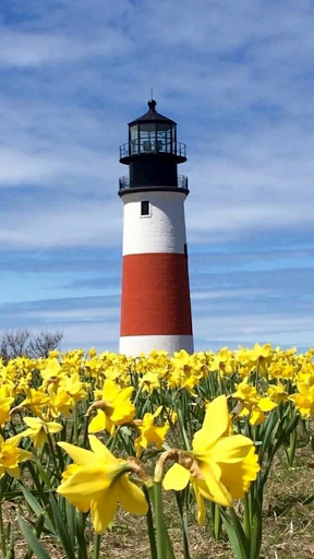 Golf Club «Sankaty Head Golf Club», reviews and photos, 100 Sankaty Rd, Nantucket, MA 02554, USA